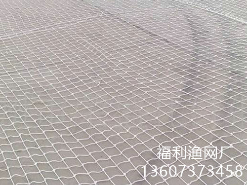 尼龍網