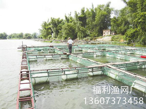 網箱