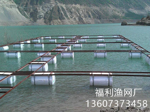 網箱