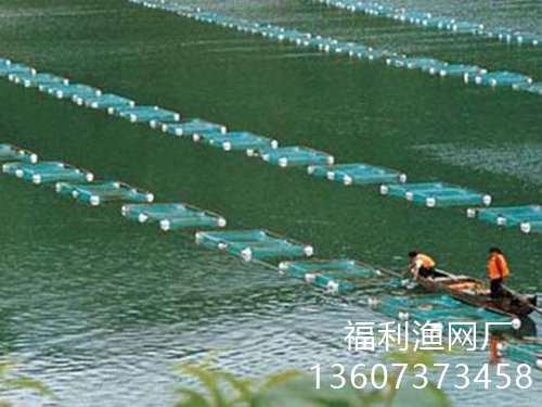 客戶案例