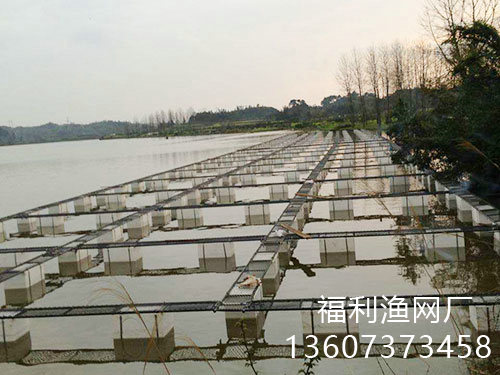網箱
